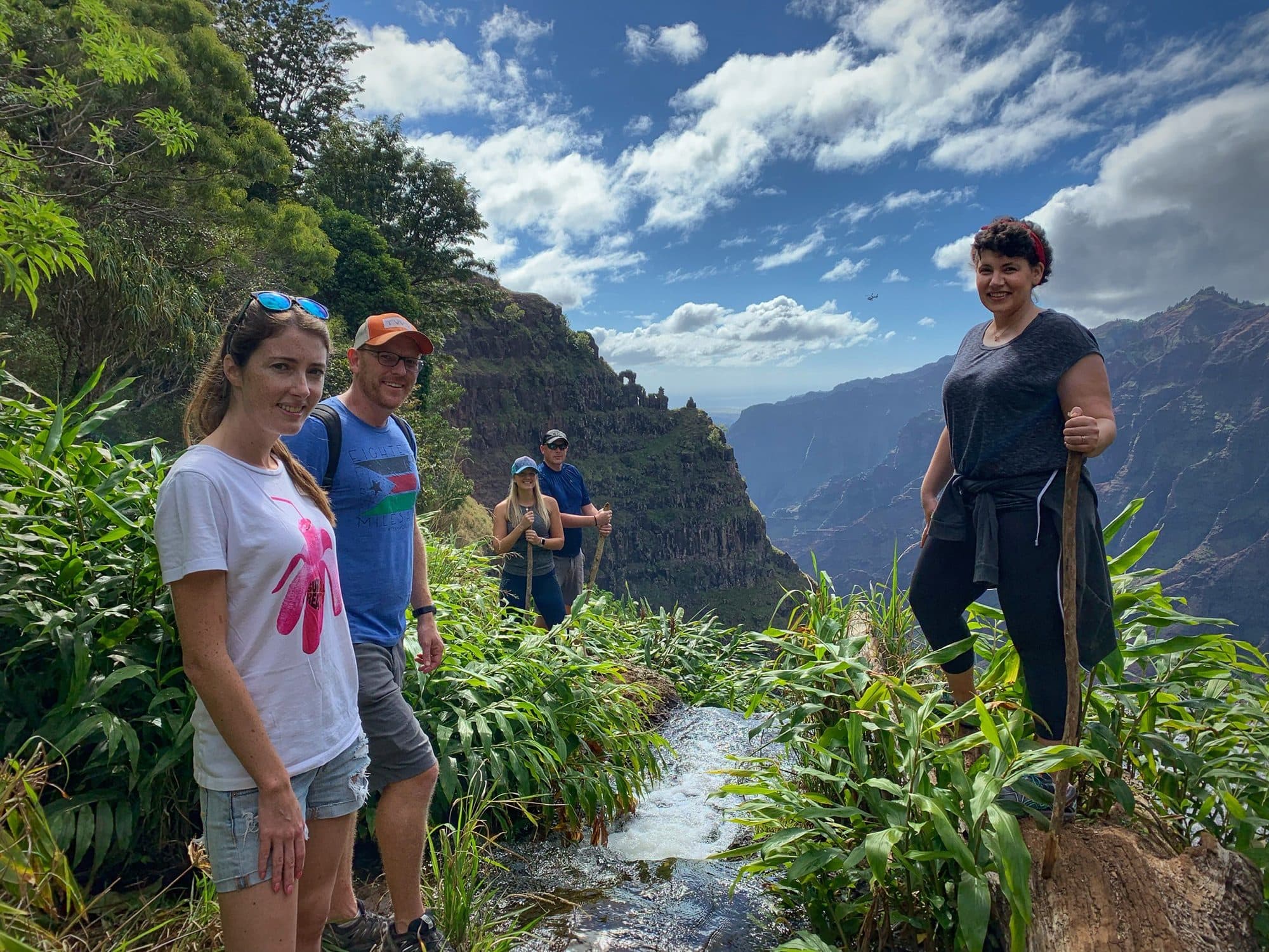 Four hikers pause on a lush mountain trail